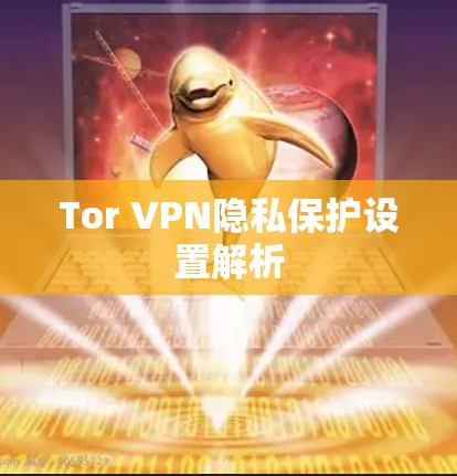 Tor VPN隐私保护设置解析