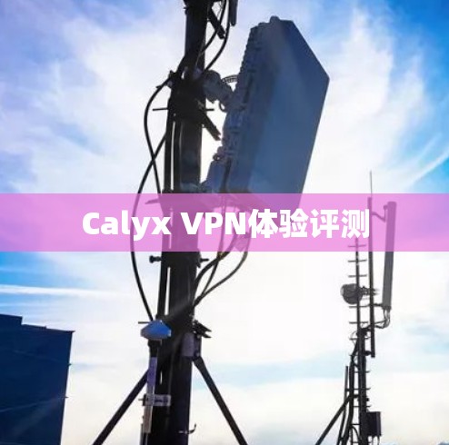 Calyx VPN体验评测 Calyx VPN体验评测