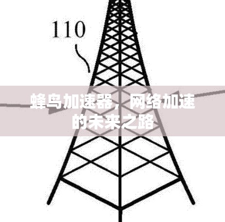 蜂鸟加速器，网络加速的未来之路