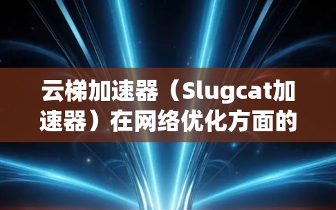 云梯加速器（Slugcat加速器）在网络优化方面的改进可以从以下几个方面入手，以提升其性能和效率