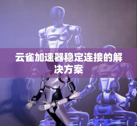 云雀加速器稳定连接的解决方案