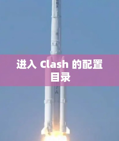 进入 Clash 的配置目录