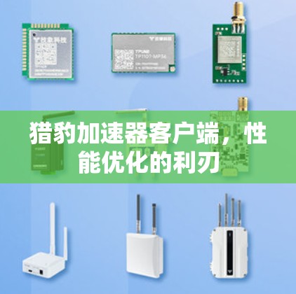 猎豹加速器客户端，性能优化的利刃