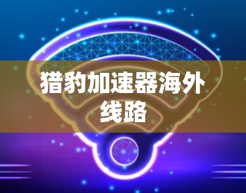 猎豹加速器海外线路