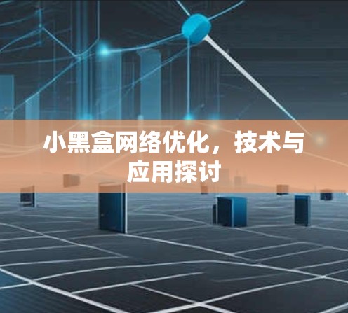 小黑盒网络优化，技术与应用探讨