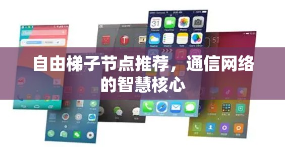 自由梯子节点推荐，通信网络的智慧核心