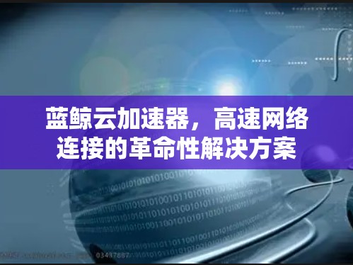 蓝鲸云加速器，高速网络连接的革命性解决方案