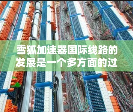雪狐加速器国际线路的发展是一个多方面的过程，涉及技术、运营、法律和市场策略等多个层面。以下是对雪狐加速器国际线路的详细分析