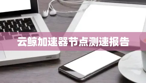 云鲸加速器节点测速报告