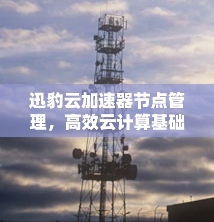 迅豹云加速器节点管理，高效云计算基础设施的关键