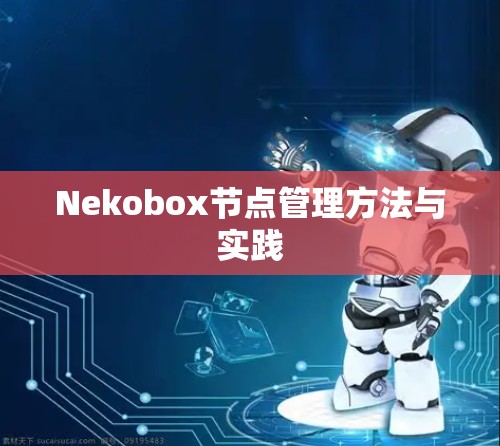 Nekobox节点管理方法与实践