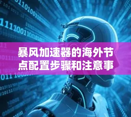 暴风加速器的海外节点配置步骤和注意事项如下