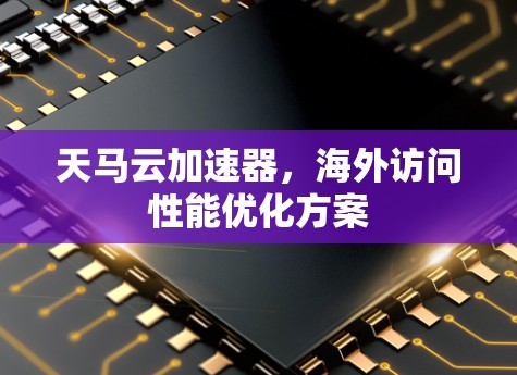 天马云加速器，海外访问性能优化方案