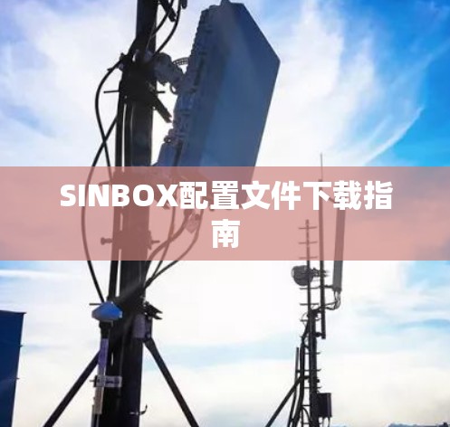 SINBOX配置文件下载指南