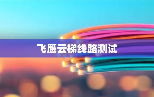 飞鹰云梯线路测试