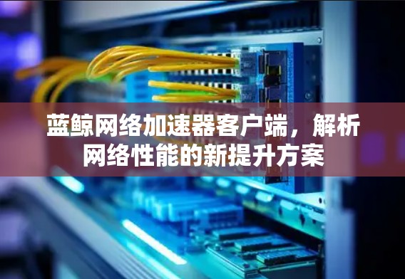 蓝鲸网络加速器客户端，解析网络性能的新提升方案